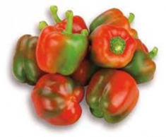 Paprika Bunt zeleninová