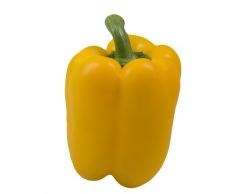 Paprika žlutá Californie