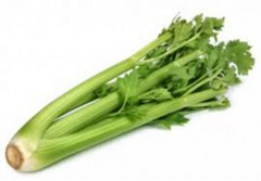 Celer řapíkatý 