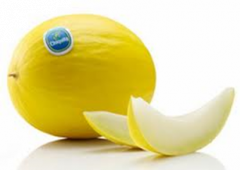 Meloun žlutý