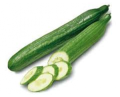 Okurka hadovka 