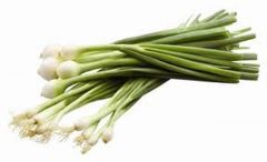 Cibule šalotka
