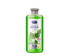 Šampon Family Březový 750ml